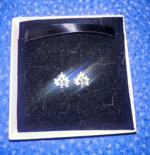 Silber ohrstecker ohrringe - silber, im